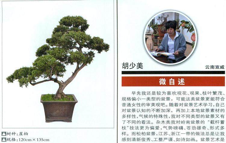 女性盆景艺术家--胡少美
