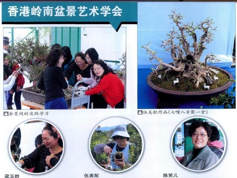 香港岭南盆景艺术学会