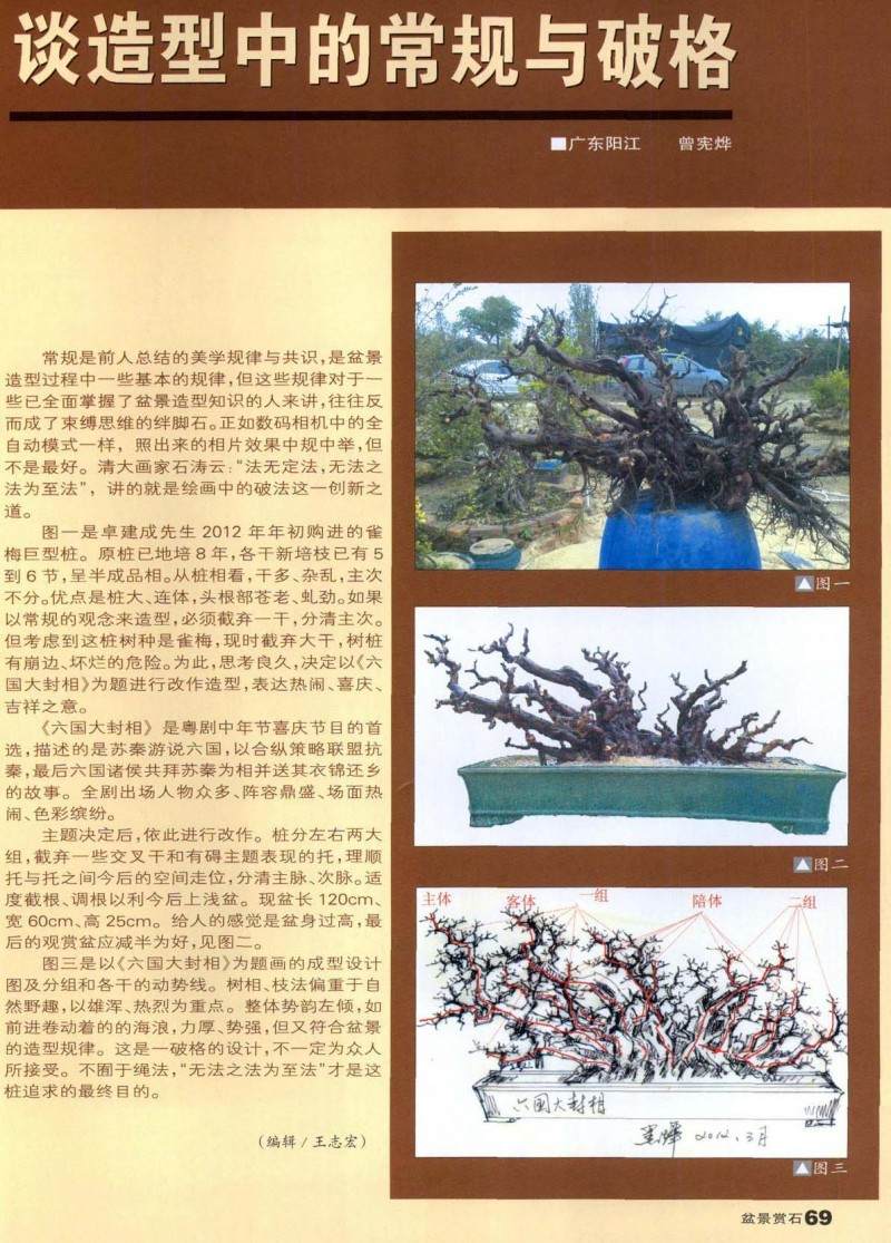 谈盆景造型中的常规与破格