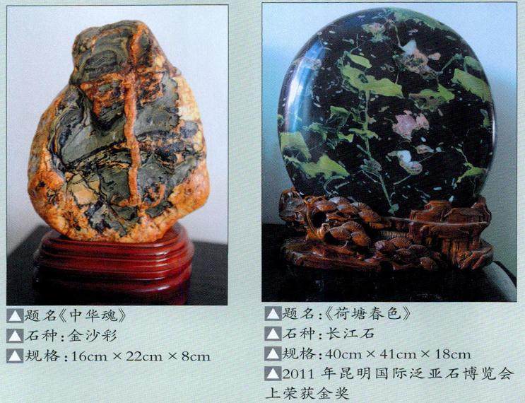 近年来,宁南奇石正逐渐在省内外声名鹊起!