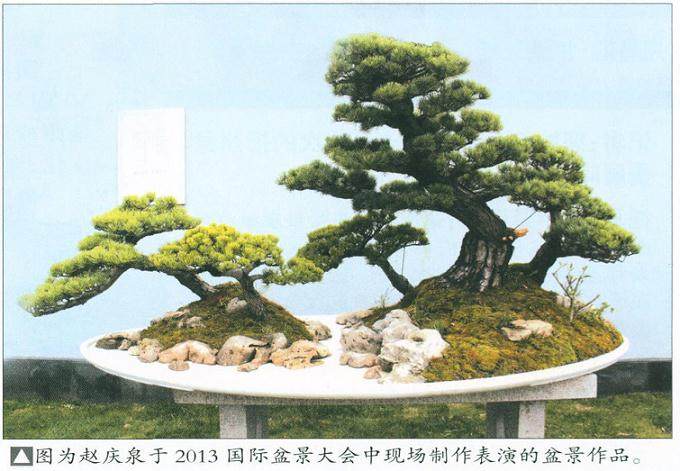 2013 国际盆景大会有一个鲜明的主题“传承文化,亲近自然”