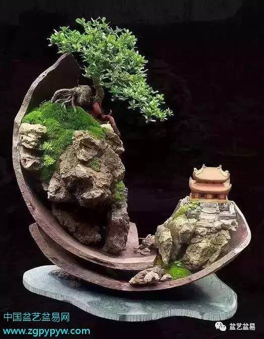 一篇备受冷落的初三盆景作文.盆景物语..赏！