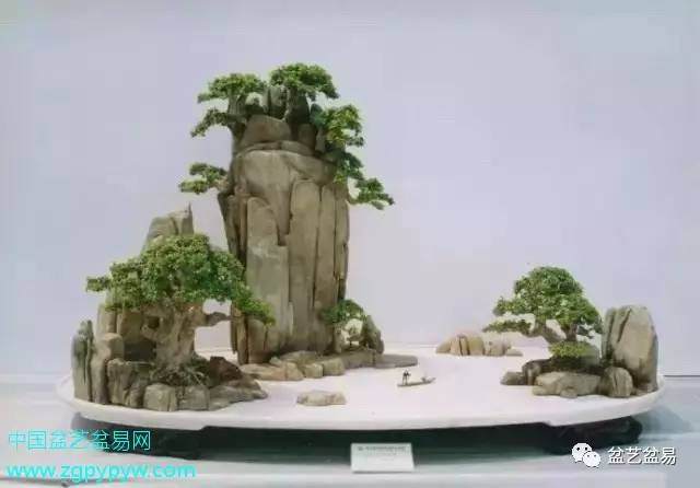 一篇备受冷落的初三盆景作文.盆景物语..赏！