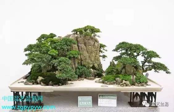 一篇备受冷落的初三盆景作文.盆景物语..赏！