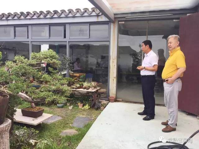 江苏盆景协会联盟主席张小宝一行相约师真园！