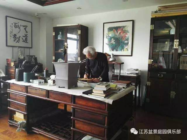 融入多元艺术 创新江苏盆景