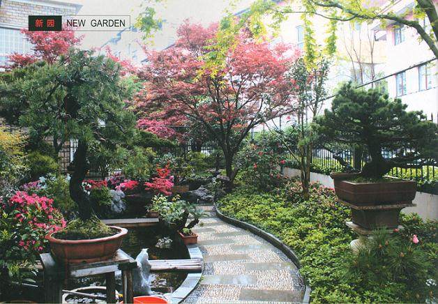 义乌的一处以盆景为主题的私家庭院【图】