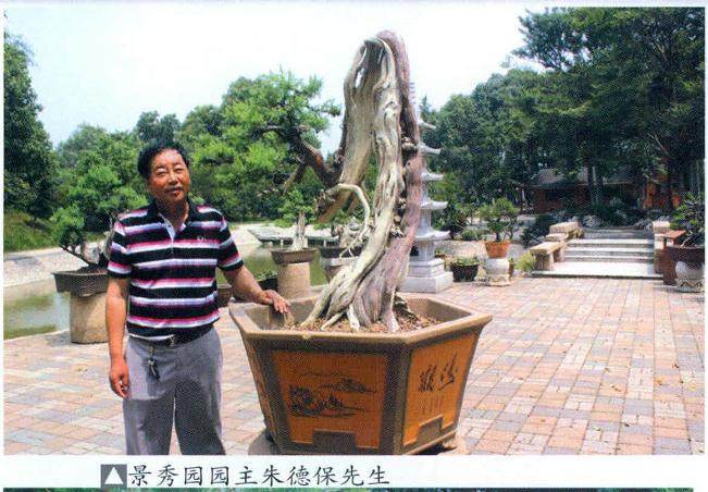 常熟虞山是传统苏派盆景的发源地