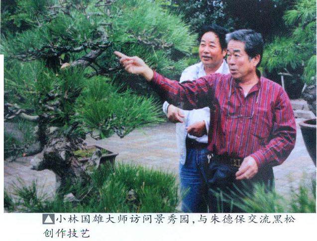 常熟虞山是传统苏派盆景的发源地