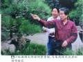 常熟虞山是传统苏派盆景的发源地