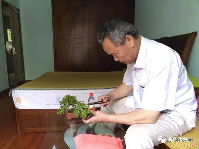 如何给盆景搭建流水管道的方法 图片