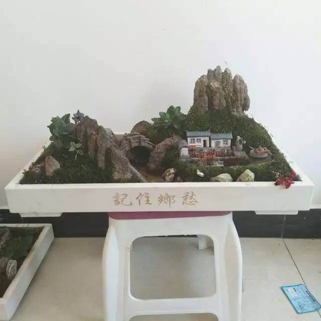 电商协会学员&mdash;&mdash;范庆丰的盆景