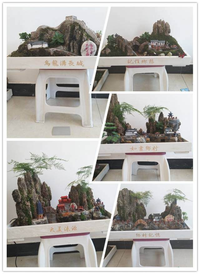 电商协会学员&mdash;&mdash;范庆丰的盆景