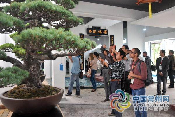 金坛市人民政府主办的第七届世界盆景大会