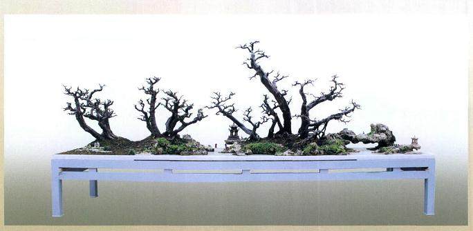 这样的一片世外桃源，是盆景艺术圆了我的这个梦