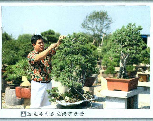 常州聚松盆景园占地100余亩,总投入近2500万元!