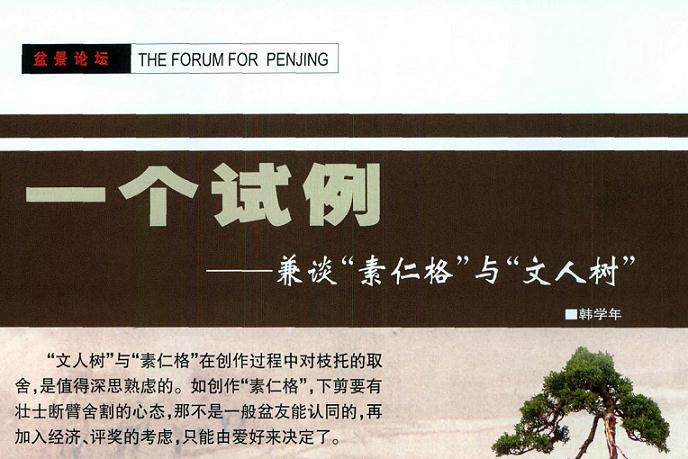 盆景的文人树与素仁格在制作过程中对枝托的取舍