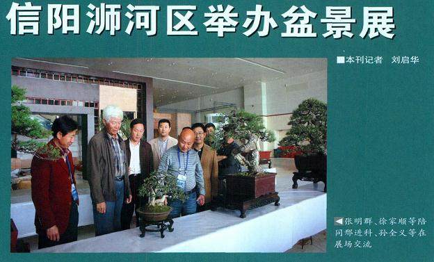 信阳市泖河区花木盆景协会