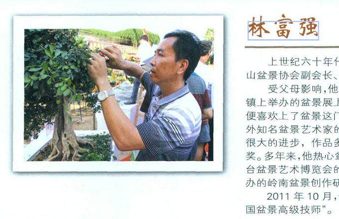 东莞市茶山盆景协会副会长--林富强