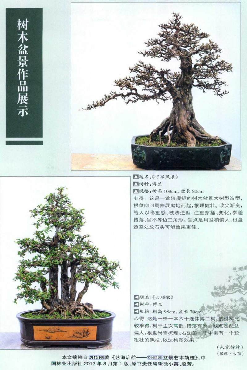 图解树木盆景的制作过程