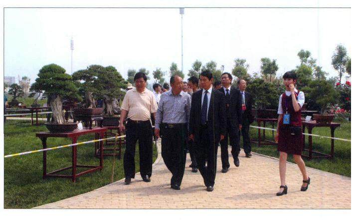 南阳市2013月季盆景节隆重开幕