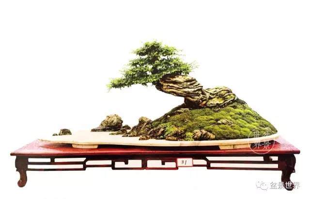 《眺望》随想一一王琼培的树石盆景