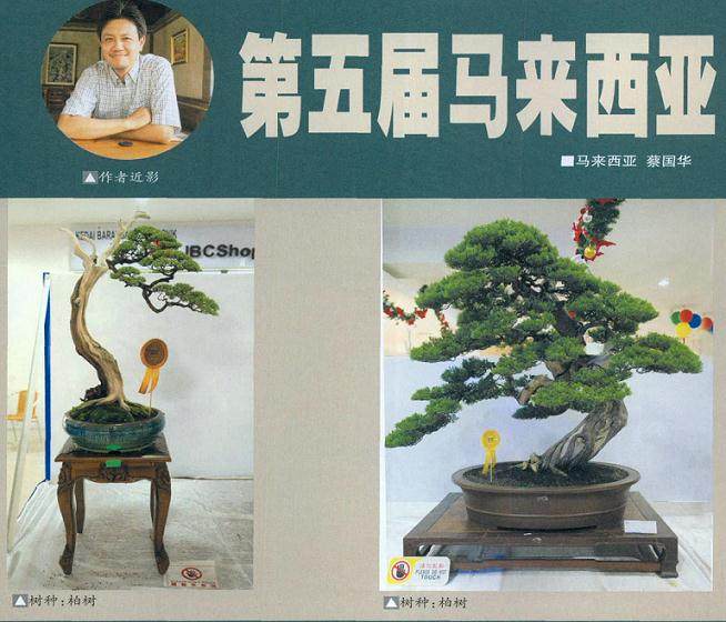 2014年马来西亚举办了第五届盆景展