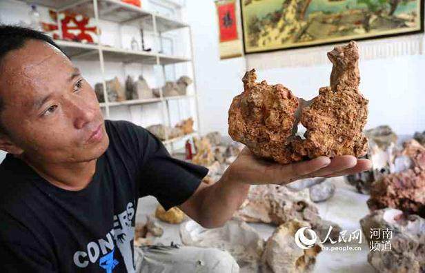 河南宝丰:野外废弃顽石变身奇石盆景