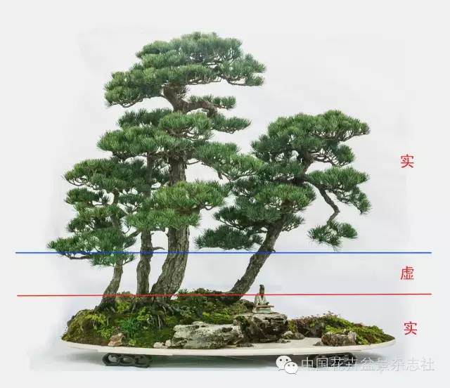 盆景中虚与实的应用技巧【图解】