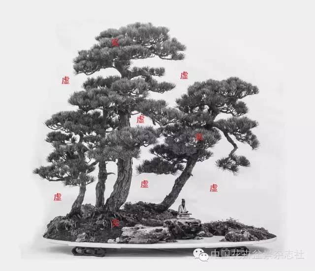 盆景中虚与实的应用技巧【图解】