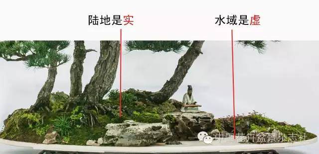 盆景中虚与实的应用技巧【图解】