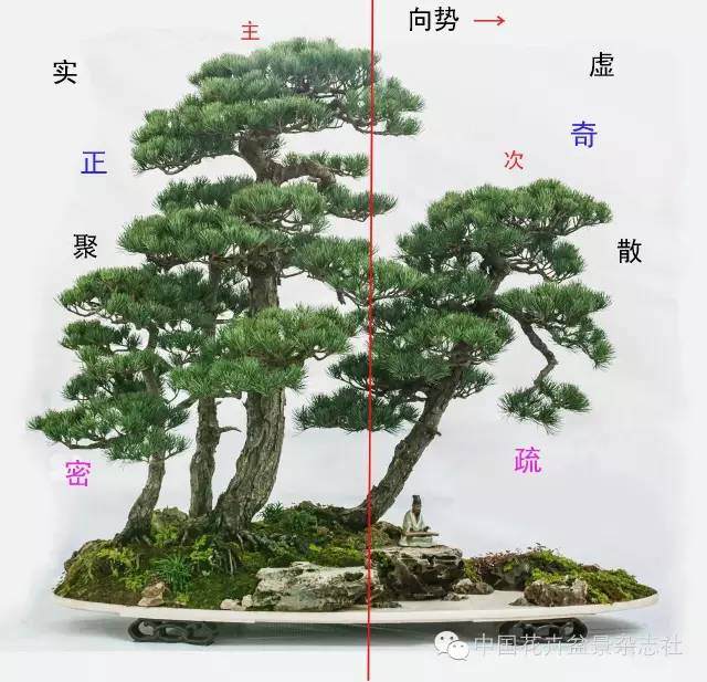 盆景中虚与实的应用技巧【图解】