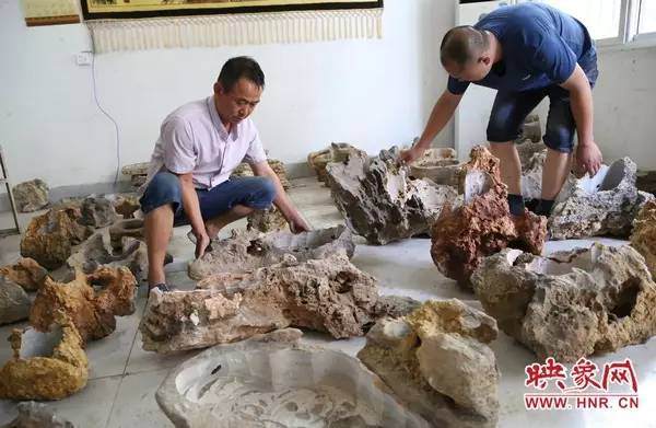 河南省青年温群生在修剪展示自己创作的盆景作品