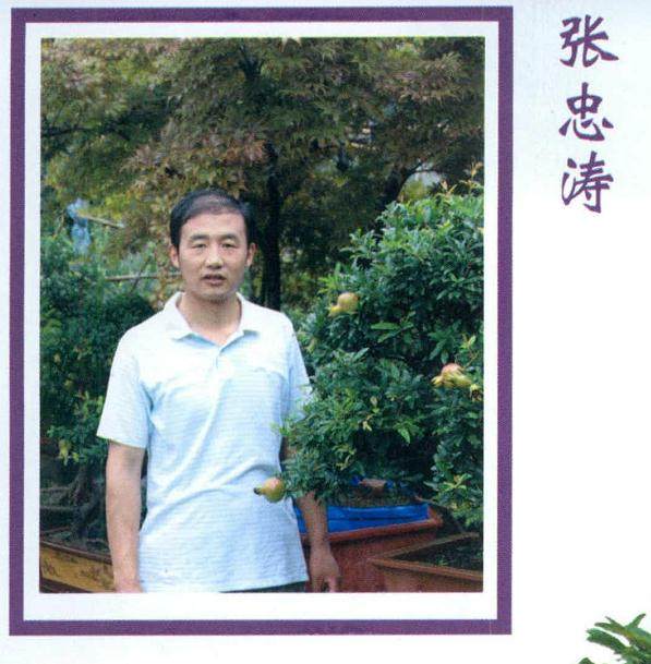 张忠涛现任中国风景园林学会盆景赏石分会理事