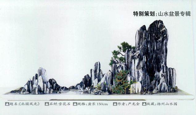 制作山水盆景的5个步骤【图解】