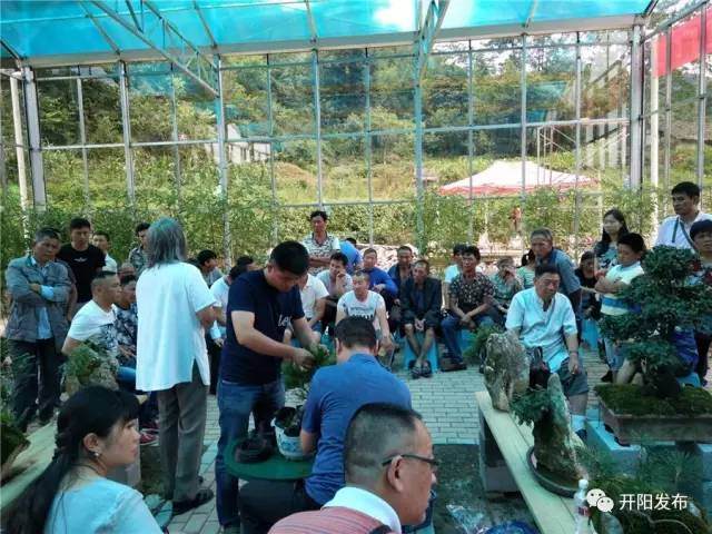 贵州盆景协会助力盆景脱贫培训班