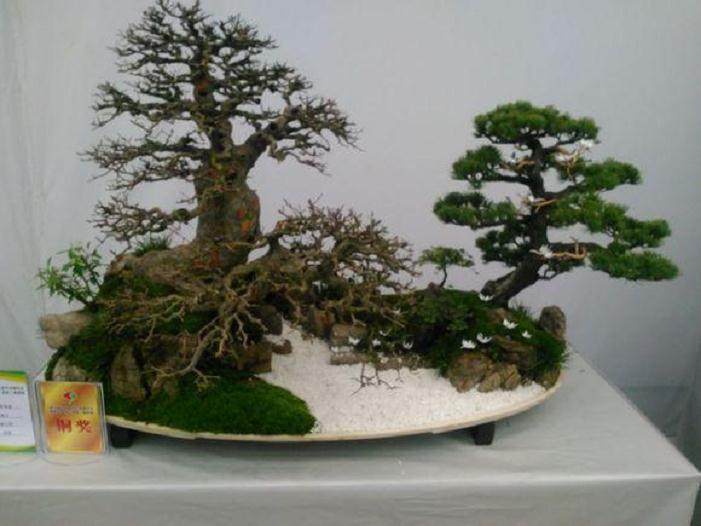 第六届中国盆景学术研讨会暨精品盆景邀请展实施方案