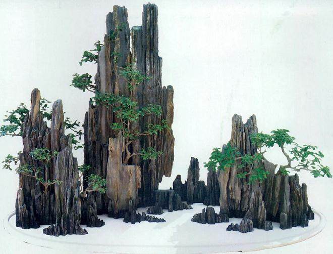 河北盆景艺术家 -- 王浩文