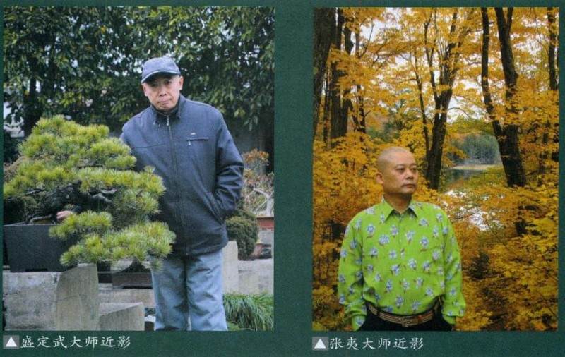 您认为山水盆景有着哪些独特的魅力?