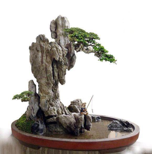 您还期待山水盆景今后向哪个方向发展?