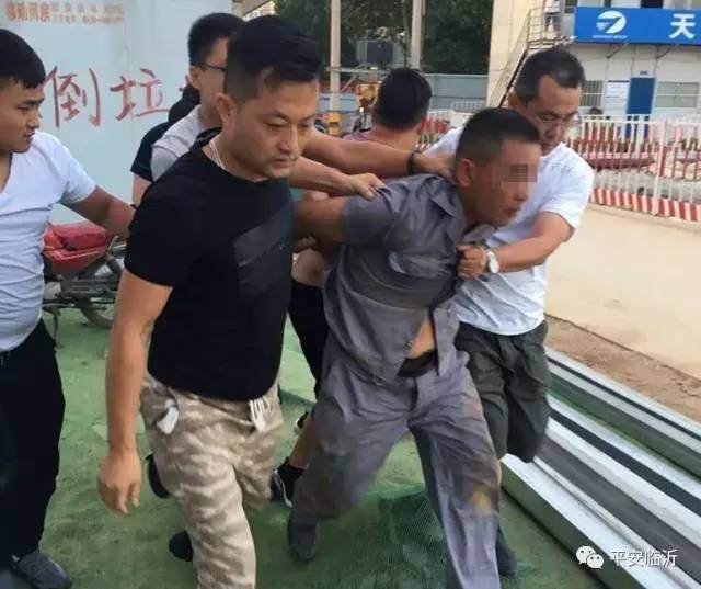 河东这个采花贼真识货, 偷一个盆景6万多!