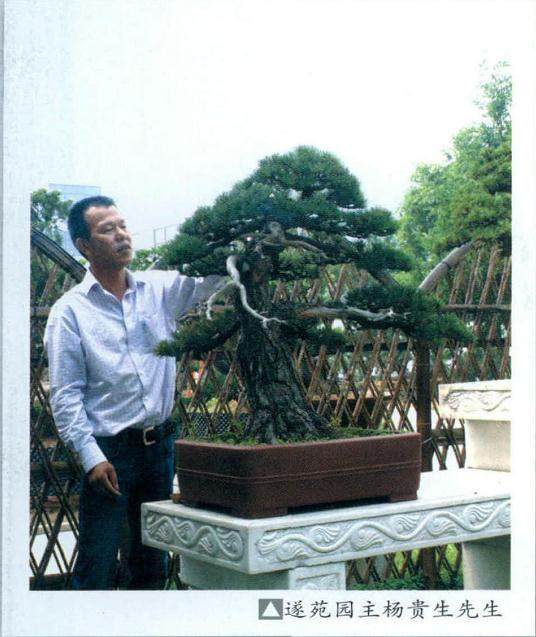 苏州遂苑是杨贵生投资逾亿元建设的一处私家盆景园