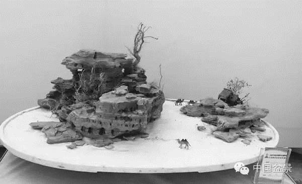 山水盆景是我国盆景艺术中一道靓丽的风景线