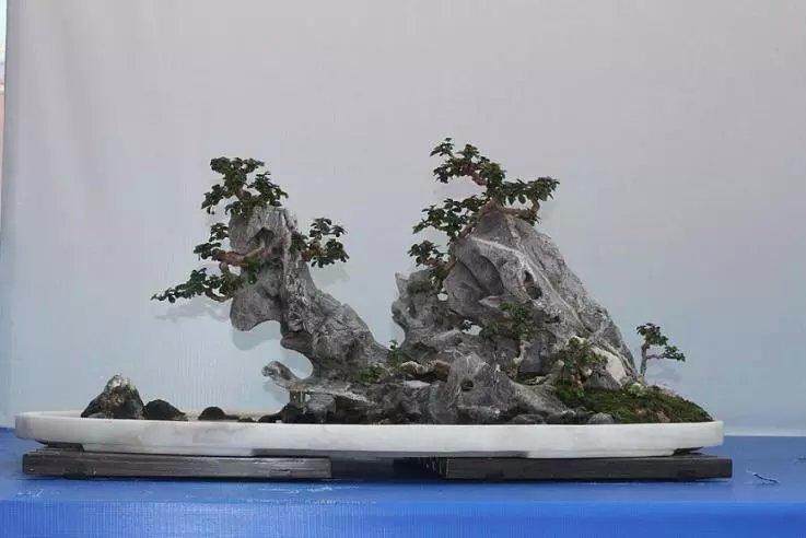 山水盆景是我国盆景艺术中一道靓丽的风景线