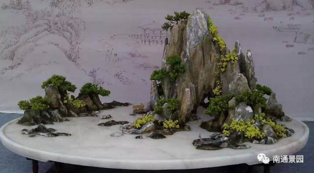 山水盆景已被较普遍的选作室内陈设之用
