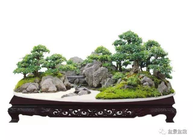 制作水旱盆景的10个步骤