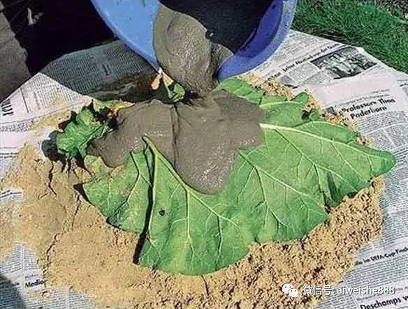 图解 如何用废弃的水泥做精致的盆景