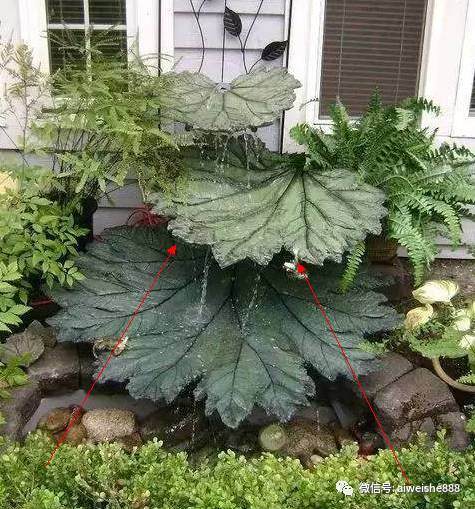 图解 如何用废弃的水泥做精致的盆景