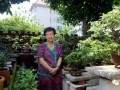 新加坡盆景藏家蔡桂芬的盆景情缘