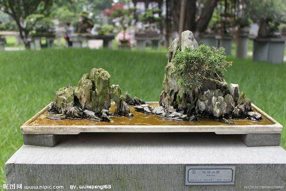 关于开展推荐BCI国际盆景大师人选工作的通知